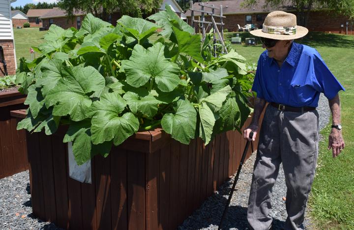 A resident admires and tends to one of the raised gardens