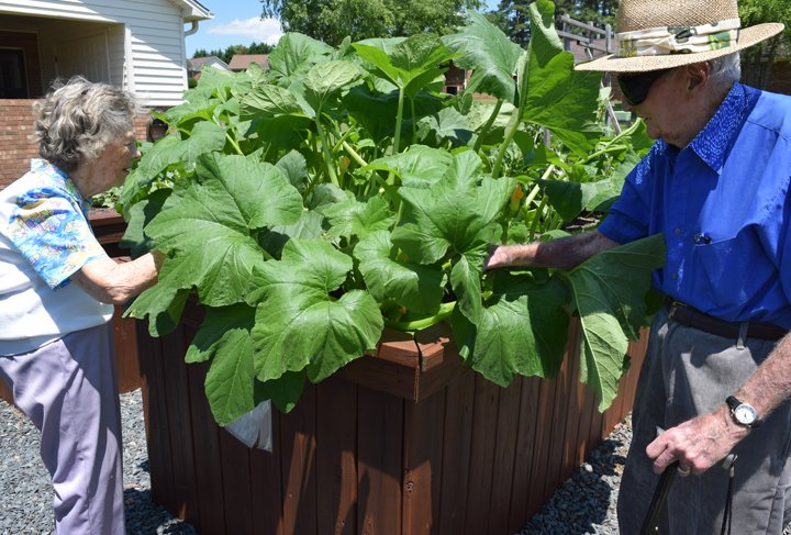 Two Residents tend to their garden