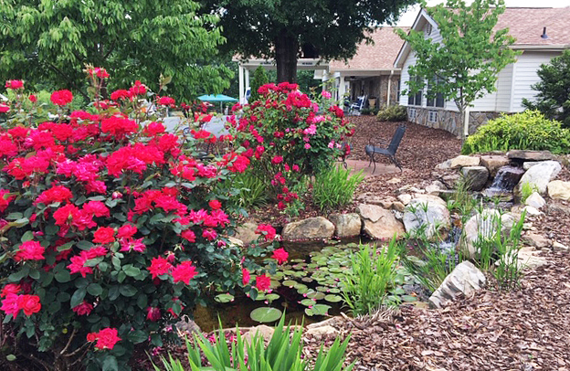 Our natural area outside our Assisted Living Center